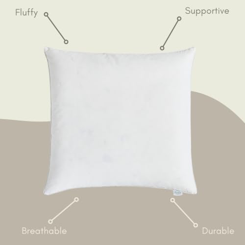 Goose Feather Down Throw Pillow Insert (26"x26", Pack of 1), Decorative Pillow for Sofa, Couch, Bed, Chair Cushion - color: Pack of 1, size: 26"x26"