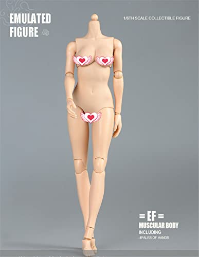 1/6 Scale Female Figure Body, 12inch Pale Skin Large Bust Flexible Doll | 1:6 Scale Female Body,Half-Seamless,Articulated Action Figure with Replacement Hands for Custom Painting Photography Display - color: Pale Skin-large Bust