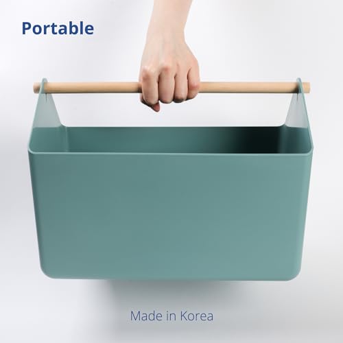 BLUE GINKGO Storage Basket, Large 10.5L, Green, Made in Korea | Portable. Spacious Storage Bin. Everyday Organization. - color: GREEN, size: Large
