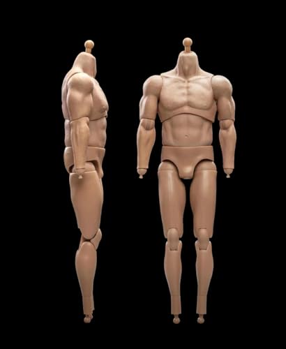 Fremego 1/6 Scale Male Muscular High Action Figure Body 23-BD002 | 1/6 Scale Male Body,12inch Flexible Strong Muscular Soldier Figure Body Collection Custom - color: 23-bd002