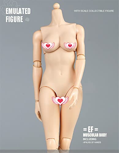 1/6 Scale Female Figure Body, 12inch Pale Skin Large Bust Flexible Doll | 1:6 Scale Female Body,Half-Seamless,Articulated Action Figure with Replacement Hands for Custom Painting Photography Display - color: Pale Skin-large Bust