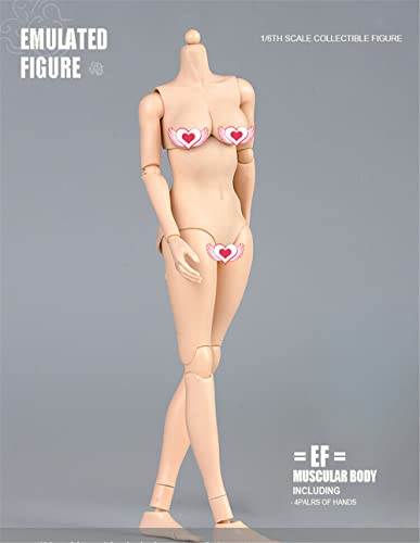 1/6 Scale Female Figure Body, 12inch Pale Skin Large Bust Flexible Doll | 1:6 Scale Female Body,Half-Seamless,Articulated Action Figure with Replacement Hands for Custom Painting Photography Display - color: Pale Skin-large Bust