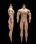 Fremego 1/6 Scale Male Muscular High Action Figure Body 23-BD003 | 1/6 Scale Male Body,12inch Flexible Strong Muscular Soldier Figure Body Collection Custom - color: 23-bd003