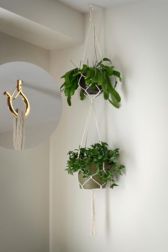 PlusRoc 20 Pack Screw Hooks for Hanging Plants Outdoor Lights(Gold) | Christmas Seasonal Lighting, Heavy Duty 2.2 Inch Eye Hook Cup Ceiling Hook Q-Hanger for Patio, Wall Wood Ceiling Deck Mount - color: Gold