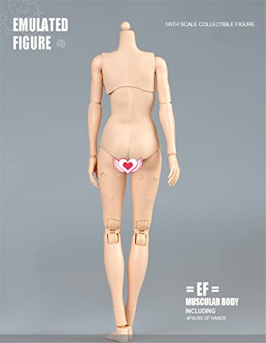 1/6 Scale Female Figure Body, 12inch Pale Skin Large Bust Flexible Doll | 1:6 Scale Female Body,Half-Seamless,Articulated Action Figure with Replacement Hands for Custom Painting Photography Display - color: Pale Skin-large Bust
