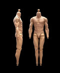 Fremego 1/6 Scale Male Muscular High Action Figure Body 23-BD001 | 1/6 Scale Male Body,12inch Flexible Strong Muscular Soldier Figure Body Collection Custom - color: 23-bd001