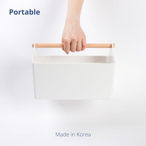 BLUE GINKGO Storage Basket, Medium 4.5L, White, Made in Korea | Portable. Divided Storage Bin. Everyday Organization. - color: WHITE, size: Medium