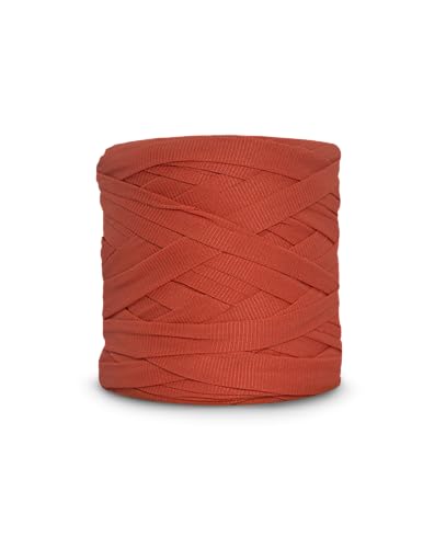 CIRCULO Premium T-Shirt Yarn - Bulky, Soft, Lightweight, Seamless, Knot-Free. Easy-to-Use. Fettuccini Zpagetti, T Shirt Yarn for Crocheting & Knitting - 153.1 yds, (3881 - Love Apple) - color: 3881 - Love Apple