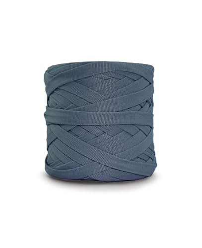 CIRCULO Premium T-Shirt Yarn - Soft, Lightweight, Seamless, Knot-Free. Easy-to-Use. Fettuccini Zpagetti, T Shirt Yarn for Crocheting & Knitting - 153.1 yds, Sky - color: 2966 - Sky