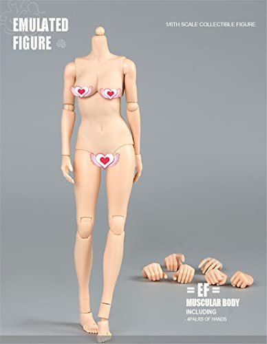 1/6 Scale Female Figure Body, 12inch Pale Skin Large Bust Flexible Doll | 1:6 Scale Female Body,Half-Seamless,Articulated Action Figure with Replacement Hands for Custom Painting Photography Display - color: Pale Skin-large Bust