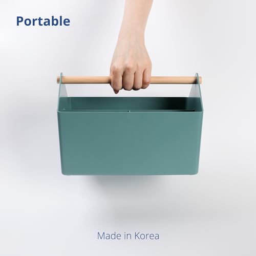 BLUE GINKGO Storage Basket, Medium 4.5L, Green, Made in Korea | Portable. Divided Storage Bin. Everyday Organization. - color: GREEN, size: Medium