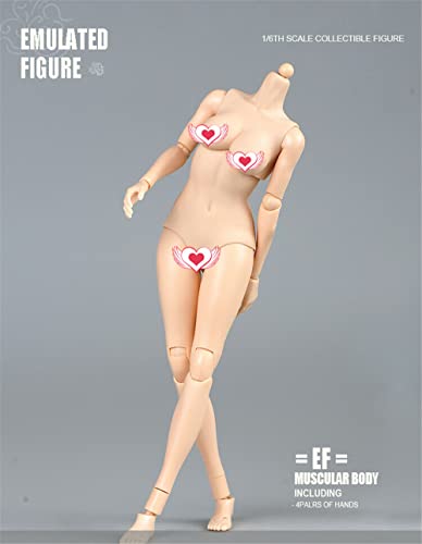 1/6 Scale Female Figure Body, 12inch Pale Skin Large Bust Flexible Doll | 1:6 Scale Female Body,Half-Seamless,Articulated Action Figure with Replacement Hands for Custom Painting Photography Display - color: Pale Skin-large Bust