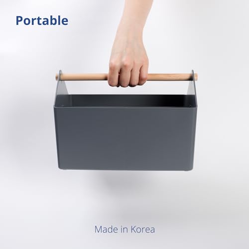 BLUE GINKGO Storage Basket, Medium 4.5L, Grey, Made in Korea | Portable. Divided Storage Bin. Everyday Organization. - color: GREY, size: Medium