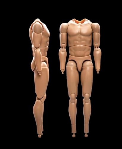 Fremego 1/6 Scale Male Muscular High Action Figure Body 23-BD005 | 1/6 Scale Male Body,12inch Flexible Strong Muscular Soldier Figure Body Collection Custom - color: 23-bd005