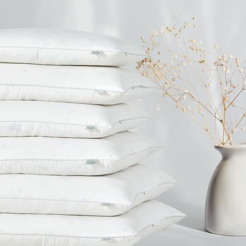 Goose Feather Down Throw Pillow Insert (22"x22", Pack of 2), Decorative Pillow for Sofa, Couch, Bed, Chair Cushion - color: Pack of 2, size: 22"x22"