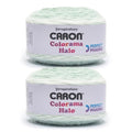 Caron Colorama Halo Cake Ombre Yarn for Crocheting, Rosemary Frost, 2-Pack | #5 Bulky Yarn, 71% Acrylic 18% Nylon 11% Polyester, Ombre Yarn Cake for Crochet & Knitting, 481 Yards, 227g/8oz per skein - color: CARON ROSEMARY FROST