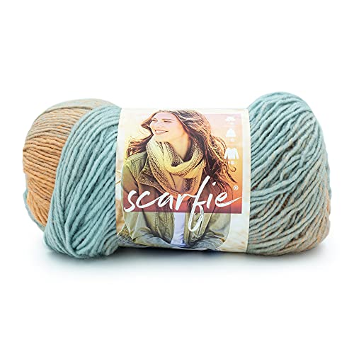 Lion Brand Yarn Scarfie Bulky Yarn, Seafoam/Clay, 1 Skein - color: Seafoam/Clay, size: 1 Pack