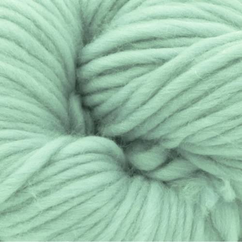 Revolution Fibers | Premium Super Bulky Merino Wool | 100-Grams Chunky Weight, Thick Wool for Knitting, Crochet, Baby Blanket, Dyed, Felting, Weaving (Peppermint) - color: Peppermint