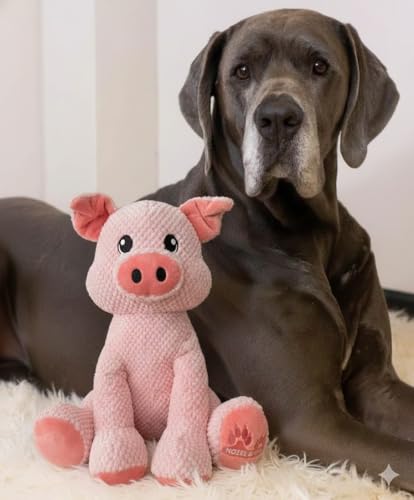 NOZES & TOZES Plush Pig Dog Toy | Dog stuffies for Large Dogs Dog Enrichment Toys for Large Dogs | Dog Toys Without Squeakers- Pink