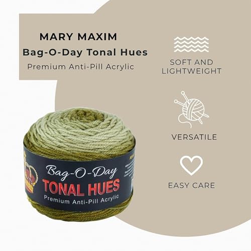 Mary Maxim Bag-O-Day Tonal Hues Ombre Yarn for Crocheting and Knitting, Medium Worsted Weight Anti-Pilling Acrylic Yarn Cake - 280 Yards, 5.3 OZ, Not for The Money But for The Music - color: Not For The Money But For The Music