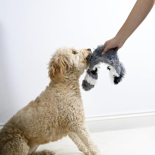 FGA MARKETPLACE Racoon Flat NO Stuffing NO Squeak Plush Dog Toy, Funny Style Will Entertain Your Pet for Hours, Recommended for Small and Medium Dog 21 INCH Long - color: Racoon