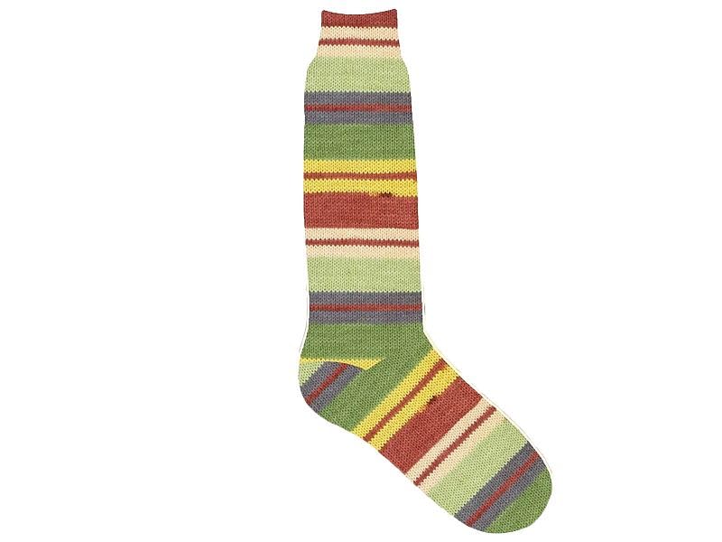 (1) 100 Gram Smart Sock Yarn - Superfine, Fingering, Superwash Wool and Nylon, 437 Yards, Self-Striping Green Brick Gold Mauve