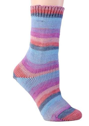 Berroco Comfort Sock Yarn - color: 1825 Wanaka