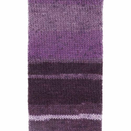 Scheepjes Arcadia Sock Yarn 100g – Shade 901 Erica Purple/Grey, Wool/PA - color: 901 Erica
