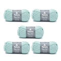 Patons Classic Wool Misty Green Yarn - 5 Pack of 3.5oz/100g - Wool - 4 Medium - 210 Yards - Knitting/Crochet - color: Misty Green, size: 5 Pack