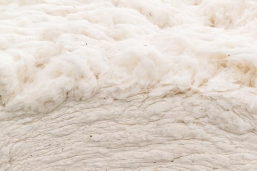 Grown in the USA Raw Cotton Stuffing/Batting. (10lb) - size: 10lb