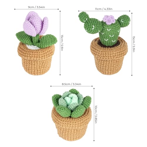 Dasonwin Crochet Kit for Beginners,Crochet Cactus with Step-by-Step Tutorials,Beginner Crochet Kits for Adults,Gift for Girls and Women.