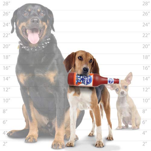 Tuffy® - Silly Squeakers® : 2 Pack Beer Bottle Dog Toy: Squeaky Dog Toy , Washable and Floats , Vinyl - color: Brown Blue Cat Trippin & Green Heinie Sniff'n BB