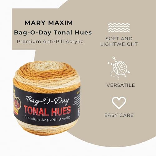 Mary Maxim Bag-O-Day Tonal Hues Ombre Yarn for Crocheting and Knitting, Medium Worsted Weight Anti-Pilling Acrylic Yarn Cake - 280 Yards, 5.3 OZ, Live At Wembley - color: Live At Wembley