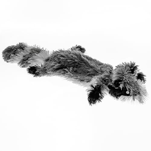 FGA MARKETPLACE Racoon Flat NO Stuffing NO Squeak Plush Dog Toy, Funny Style Will Entertain Your Pet for Hours, Recommended for Small and Medium Dog 21 INCH Long - color: Racoon