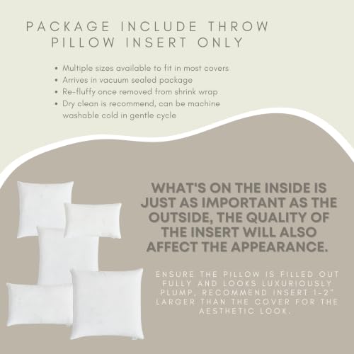 Goose Feather Down Throw Pillow Insert (22"x22", Pack of 2), Decorative Pillow for Sofa, Couch, Bed, Chair Cushion - color: Pack of 2, size: 22"x22"