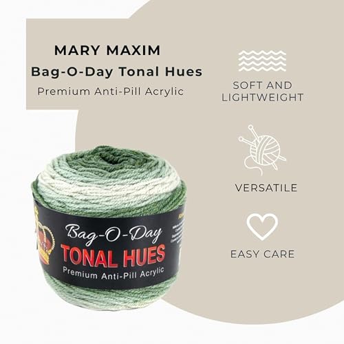 Mary Maxim Bag-O-Day Tonal Hues Ombre Yarn for Crocheting and Knitting, Medium Worsted Weight Anti-Pilling Acrylic Yarn Cake - 280 Yards, 5.3 OZ, The Garden Lodge - color: The Garden Lodge