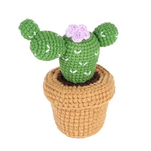 Dasonwin Crochet Kit for Beginners,Crochet Cactus with Step-by-Step Tutorials,Beginner Crochet Kits for Adults,Gift for Girls and Women.