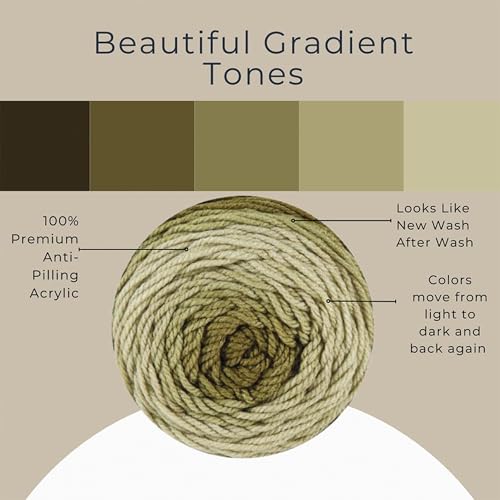 Mary Maxim Bag-O-Day Tonal Hues Ombre Yarn for Crocheting and Knitting, Medium Worsted Weight Anti-Pilling Acrylic Yarn Cake - 280 Yards, 5.3 OZ, Not for The Money But for The Music - color: Not For The Money But For The Music