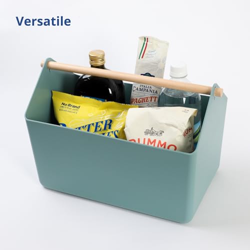 BLUE GINKGO Storage Basket, Large 10.5L, Green, Made in Korea | Portable. Spacious Storage Bin. Everyday Organization. - color: GREEN, size: Large