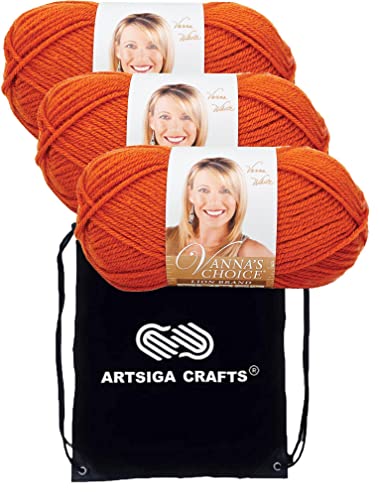 Lion Brand Yarn Vanna'S Choice 860-134 Terra Cotta | 3 Skeins, Same Dye Lot, Project Bag, CYC #4 Worsted, 100% Acrylic, Ideal for Crochet, Knitting Blankets, Hats, Scarves - color: 860-134-Terra-Cotta