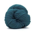 Revolution Fibers Premium Super Bulky Merino Yarn - 100-Grams of Thick Wool for Knitting, Crochet, Baby Blanket, Dyed, Felting, Weaving - Duck Egg Green - color: Duck Egg (Green)