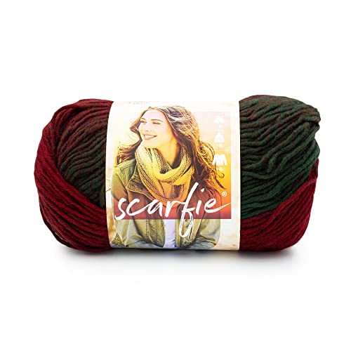 Lion Brand Yarn Scarfie Yarn for Knitting and Crocheting, Deep Red/Dark Green, 1 Pack | Bulky Acrylic Wool Blend Knit & Crochet Fiber for Self-Striping Scarves, Colorful Cardigans, Chunky Blankets, Hats - color: Deep Red/Dark Green, size: 1 Pack