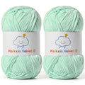 2 Pack Fluffy Chenille Yarn for Crocheting, Baby Yarn for Crocheting Soft, 100g/3.5oz Velvet Amigurumi Yarn, Fingering Weight Yarns for Crocheting Baby Blankets、DIY Craft.(2 Aqua Green) - color: [2 Aqua Green]