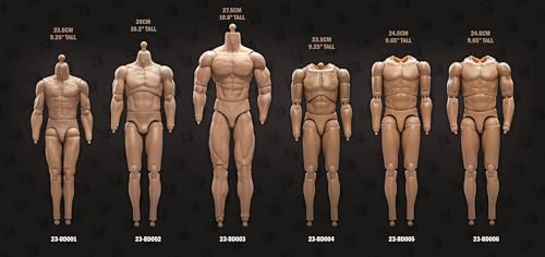 Fremego 1/6 Scale Male Muscular High Action Figure Body 23-BD001 | 1/6 Scale Male Body,12inch Flexible Strong Muscular Soldier Figure Body Collection Custom - color: 23-bd001