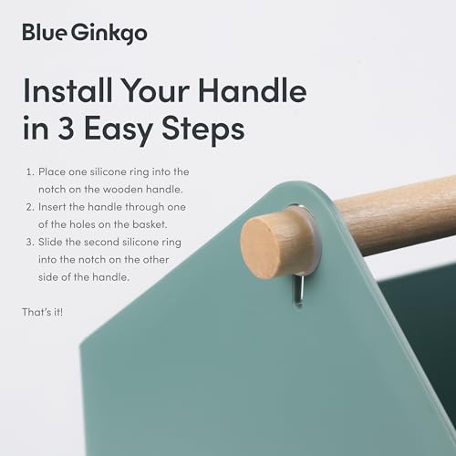 BLUE GINKGO Storage Basket, Large 10.5L, Green, Made in Korea | Portable. Spacious Storage Bin. Everyday Organization. - color: GREEN, size: Large