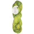 KnitPro Symfonie Fingering Weight Merino Wool Yarn 100g, Macha | 75% Extrafine Merino & 25% Polyamide, 438yds, OEKO-TEX Certified, Superwash, Colorfast, #1 Yarn Skein for Knitting & Crochet - color: Macha