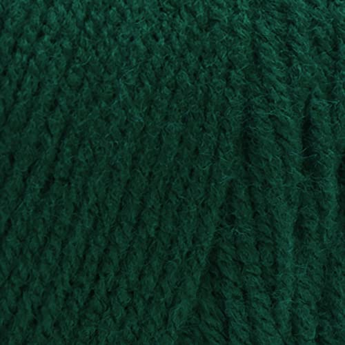 Red Heart E300 Super Saver Economy Yarn, Paddy Green - color: Paddy Green, size: 1 Pack