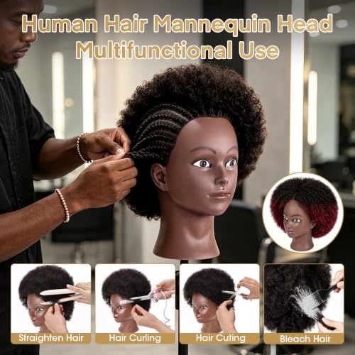 Afro 100% Human hair Mannequin Head,10''Curly Full Real Hair Mannequin Head,Cosmetology Mannequin Doll Head Styling,Manikin Head Hairs Braiding DIY Styling with Clamp Holder Set（10 Inch Dark Brown） - color: 10 Inch Dark Brown