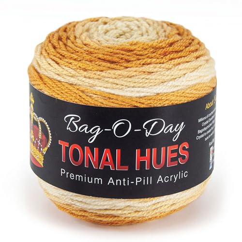 Mary Maxim Bag-O-Day Tonal Hues Ombre Yarn for Crocheting and Knitting, Medium Worsted Weight Anti-Pilling Acrylic Yarn Cake - 280 Yards, 5.3 OZ, Live At Wembley - color: Live At Wembley