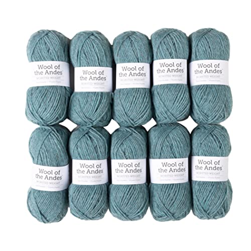 Knit Picks Wool of the Andes Blue 100% Wool Yarn Pack for Knitting | 10 skeins (500g total) of soft worsted weight crocheting yarn in Fjord Heather color, good for felting. - color: Fjord Heather